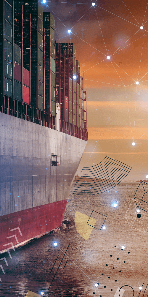 Optiline Export Transporting and Data