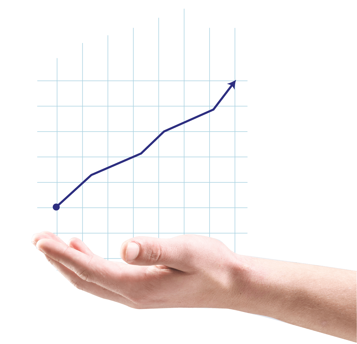 Optiline Export Raise in the expert hands